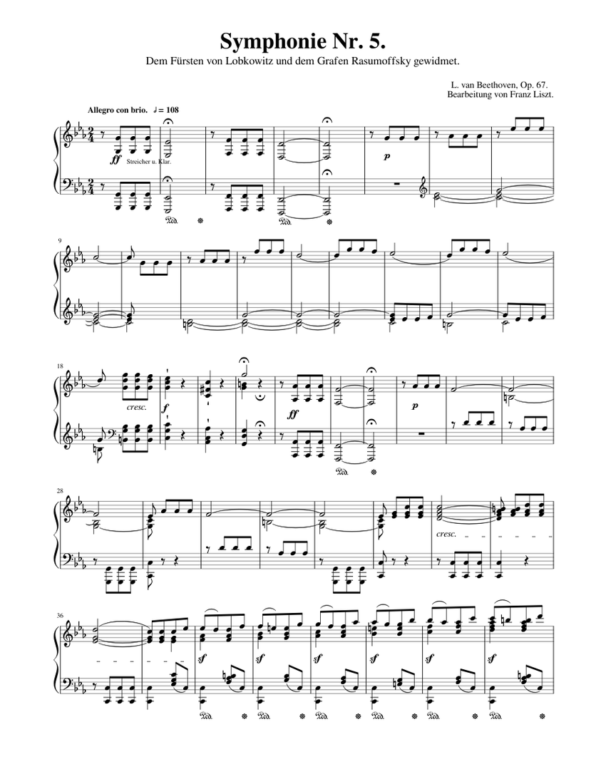 Beethoven Symphonie Nr. 5 　フルスコア(旧版) Symphony No. 5, 1st Movement Sheet Music for Strings group