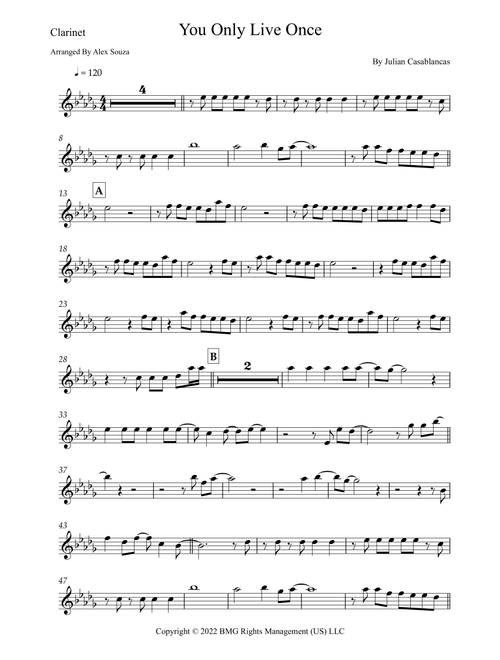 You Only Live Once (Arr. Alex Souza) - The Strokes (Clarinet Solo)