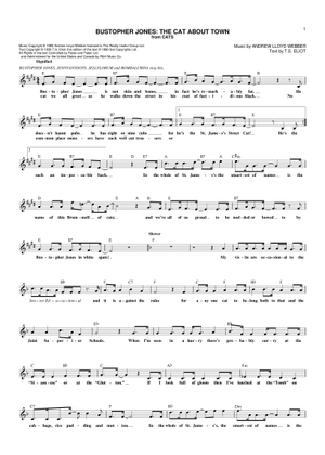 Play Official version of Teenage kicks sheet music by The ..., image size:300x420