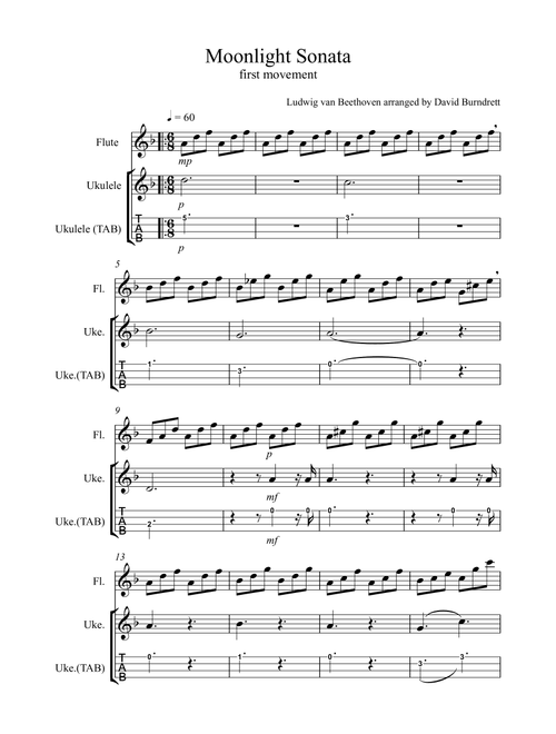 Moonlight Sonata for (1st movement) for Flute and Ukulele Duet (Arr. David Burndrett) - Ludwig Van Beethoven (Instrumental Duet)