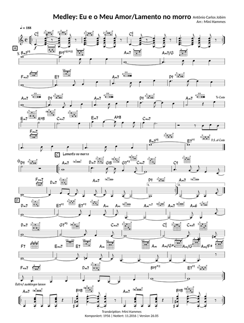 Antônio Carlos Jobim - Eu e o Meu Amor/Lamento no morro (Medley)