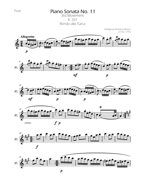 Rondo alla Turca Flute Solo (Arr. Ygor Nunes) - Mozart (Flute Solo)