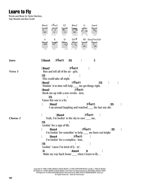 Learn To Fly - Foo Fighters (Guitar Chords-Lyrics)
