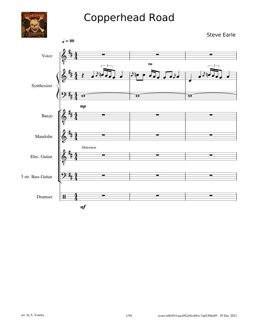 Copperhead Road (Steve Earle) Sheet music for Organ, Vocals, Guitar