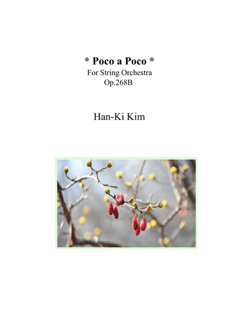 Poco a Poco (For String Orchestra) - Han-Ki Kim (Orchestra)