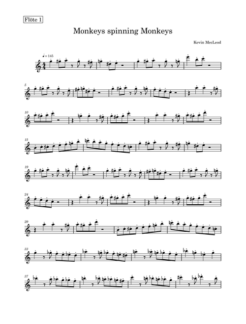 Monkeys Spinning Monkeys (Arr. Julius Marx) - Kevin MacLeod (Flute Solo)