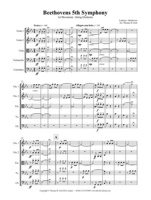 Beethovens 5th Symphony - 1st Movement - String Orchestra (Arr. Thomas H. Graf) - LV Beethoven (String Quartet)