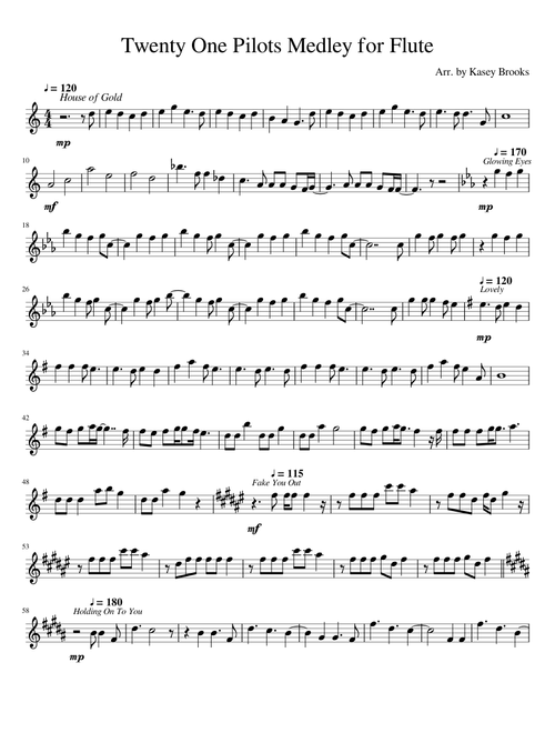 Twenty One Pilots Medley For Flute