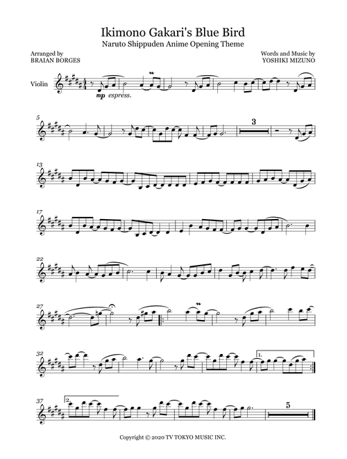 Ikimono Gakari's Blue Bird (Arr. Braian Borges) - Yoshiki Mizuno (Violin Solo)