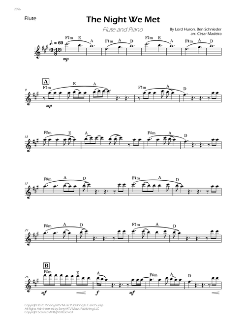 The Night We Met (Arr. César Madeira) - Lord Huron (Flute Solo)