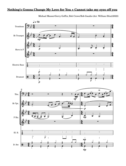 Nothing's Gonna Change My Love For You (Arr. SHIU Wai Yau, William) - Glenn Medeiros (Small Ensemble)