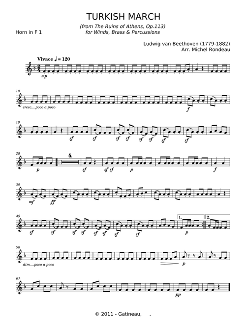 Turkish march - Ludwig van Beethoven