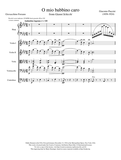 Gianni Schicchi "O mio babbino caro"
