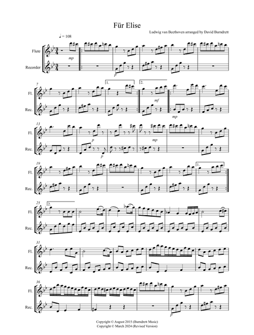 Fur Elise for Flute and Recorder Duet (Arr. David Burndrett) - Ludwig van Beethoven (Instrumental Duet)