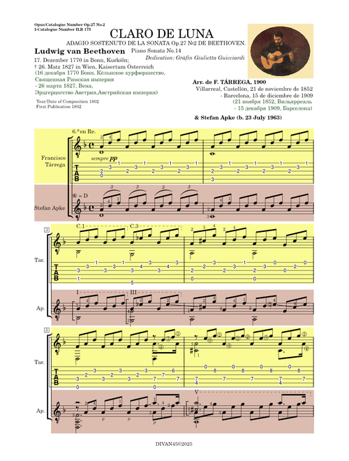 Moonlight Sonata for GUITAR, 1-st part - Beethoven, Tarrega, Apke