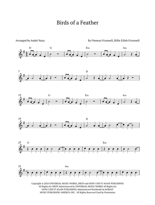 Birds Of A Feather (Arr. André Nusa) - Billie Eilish (Trumpet Solo)