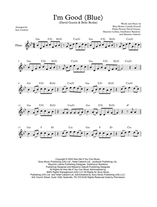 I'm Good (blue) (Arr. Iury Cardoso) - David Guetta & Bebe Rexha (Flute Solo)