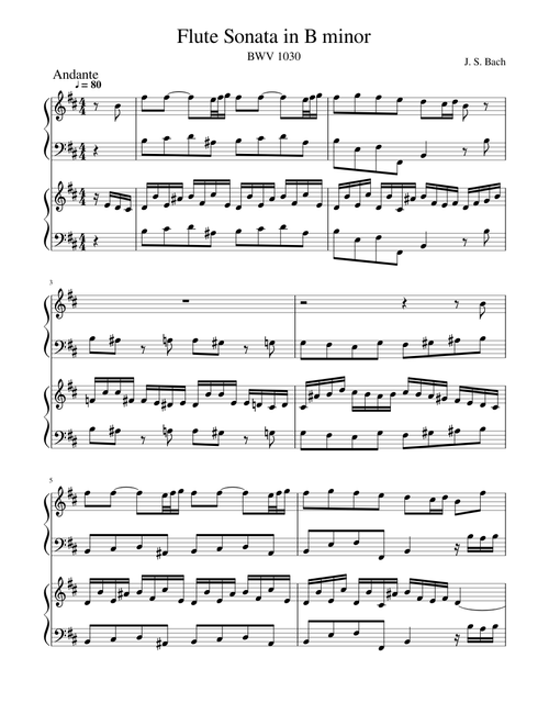 BWV 1030 Flute Sonata in B minor