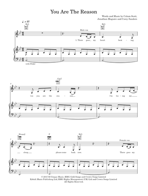 You Are The Reason - Callum Scott & Leona Lewis (Mixed Quartet)