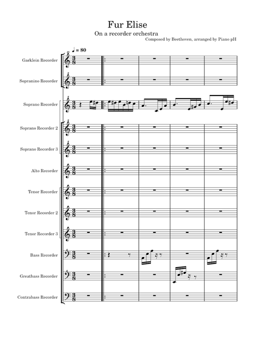 Fur Elise on Recorder