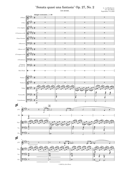Piano Sonata No.14, Op.27 No.2 – Ludwig van Beethoven ("Moonlight"), arranged for orchestra (mvmt 1)