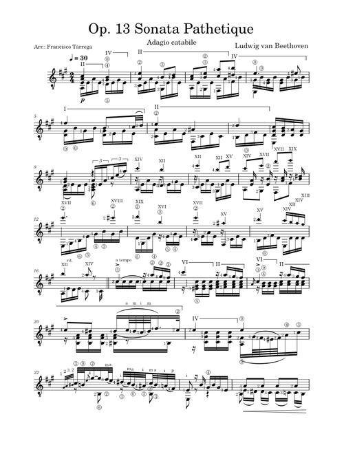 Ludwig van Beethoven - Op. 13 Sonata No.8 Pathetique - No. II Adagio Cantabile - arr. Francisco Tárrega