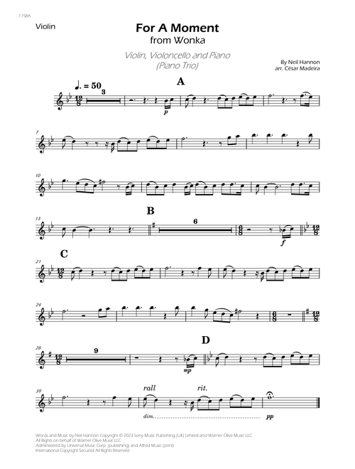 For A Moment (Arr. César Madeira) - Neil Hannon (Instrumental Duet and Piano)