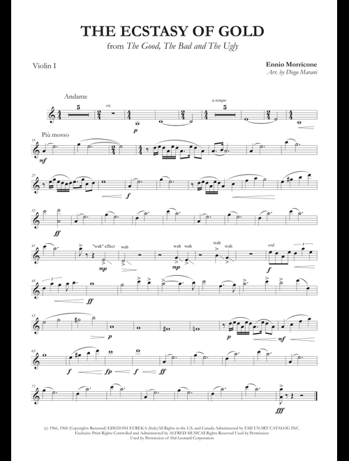 The Ecstasy Of Gold from THE GOOD, THE BAD AND THE UGLY (Arr. Diego Marani) - Metallica (String Quartet)