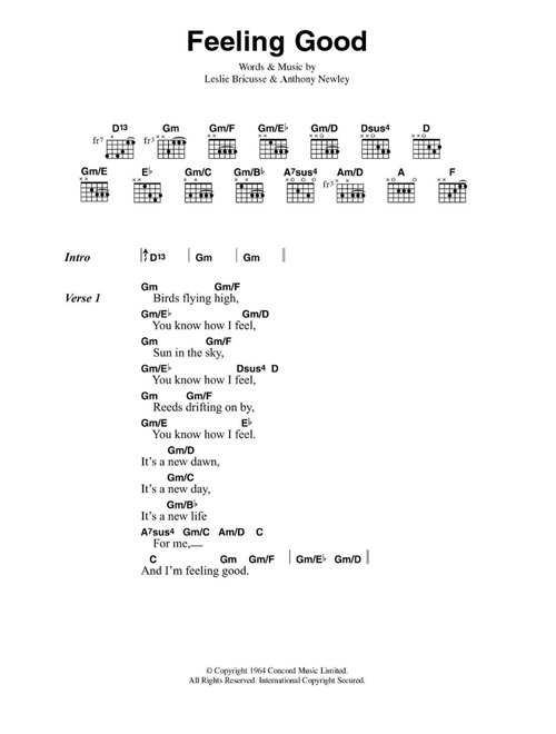 Feeling Good - Muse (Guitar Chords-Lyrics)