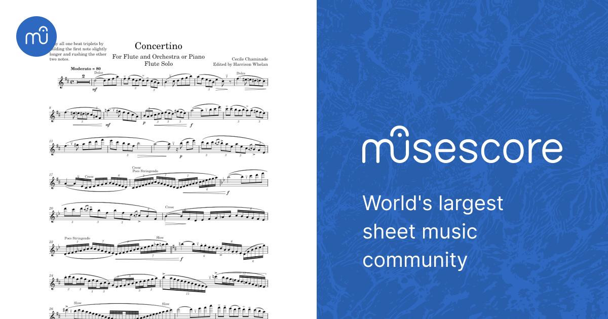 Concertino pour Flûte Edited by me :) Sheet Music for Flute (Solo
