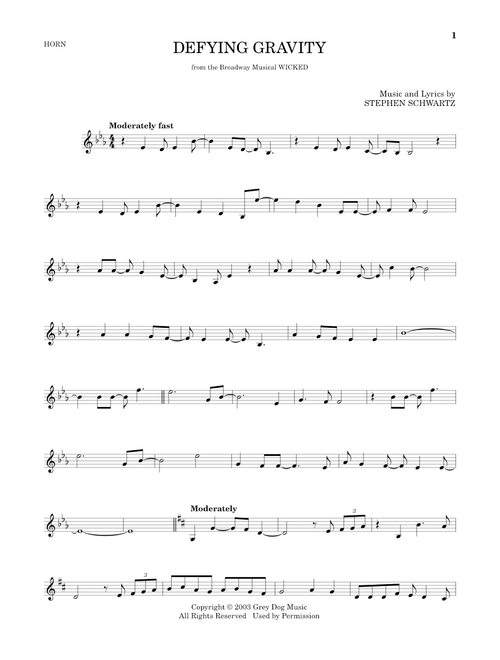 Defying Gravity (from Wicked) - Stephen Schwartz (French Horn Solo)