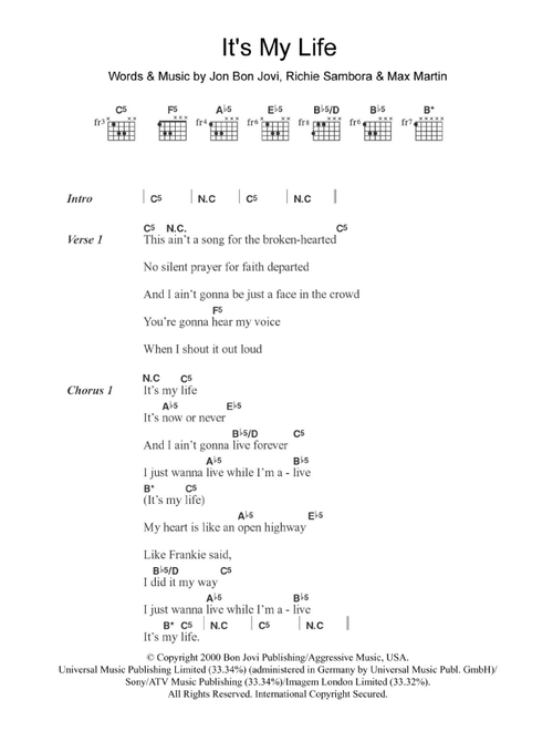 It's My Life - Bon Jovi (Guitar Chords-Lyrics)