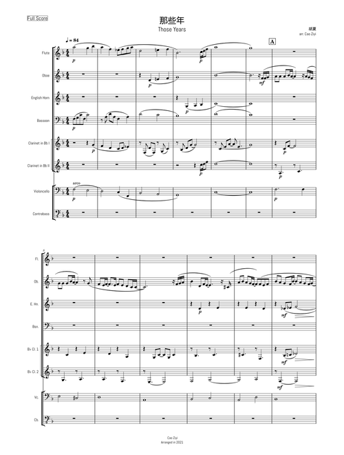 [CHAMBER WINDS] 那些年 Na Xie Nian - 胡夏 Hu Xia