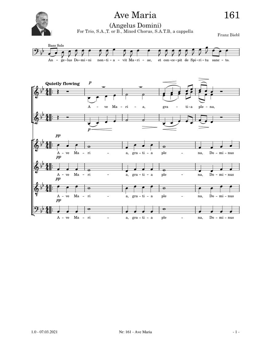 Ave Maria - Franz Biebl Sheet Music for Soprano, Alto, Tenor, Bass ...