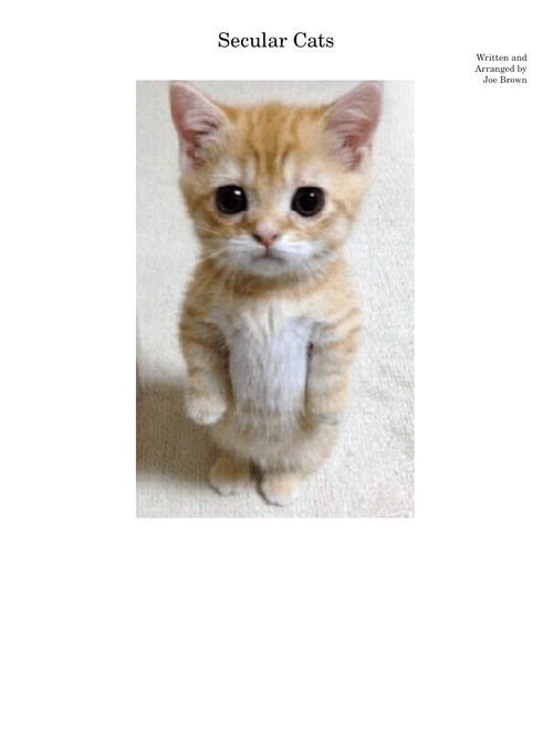 secular cats