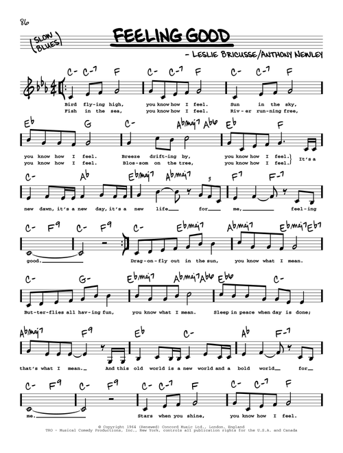 Feeling Good (Low Voice) - Michael Buble (Real Book - Melody-Chords-Lyrics)