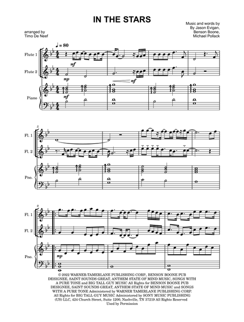 In The Stars (Arr. Timo De Neef) - Benson Boone (Flute Duet)