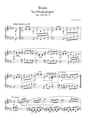 12 Brillante Und Melodische Etüden Op. 105. Klavier Von Friedrich