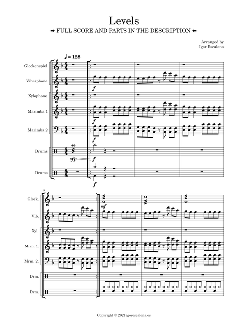 🎧 Levels | Avicci | PERCUSSION ENSEMBLE 🥁