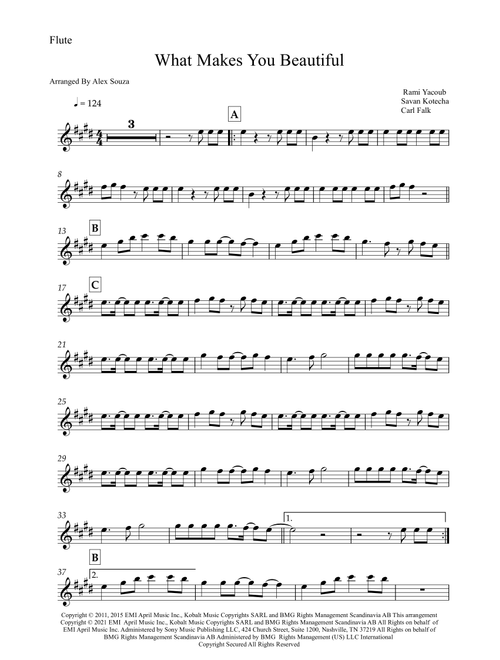 What Makes You Beautiful (Arr. Alex Souza) - One Direction (Flute Solo)