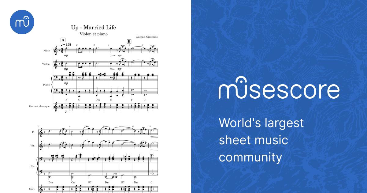 【美品】 flute - Life Married - Up violon Music Sheet guitare piano 和書