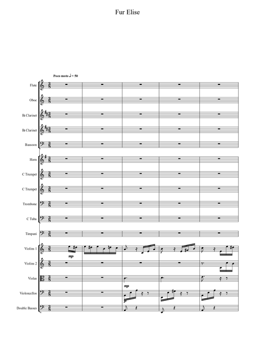 Fur Elise/for Orchestra