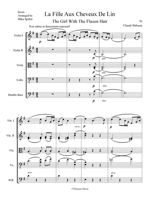 La Fille Aux Cheveux De Lin (Arr. Mike Spiller) (String Ensemble)