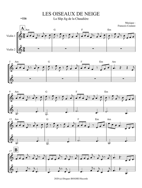 LES OISEAUX DE NEIGE - La slip jig de la chaudière - Francois Couture (Violin Solo)