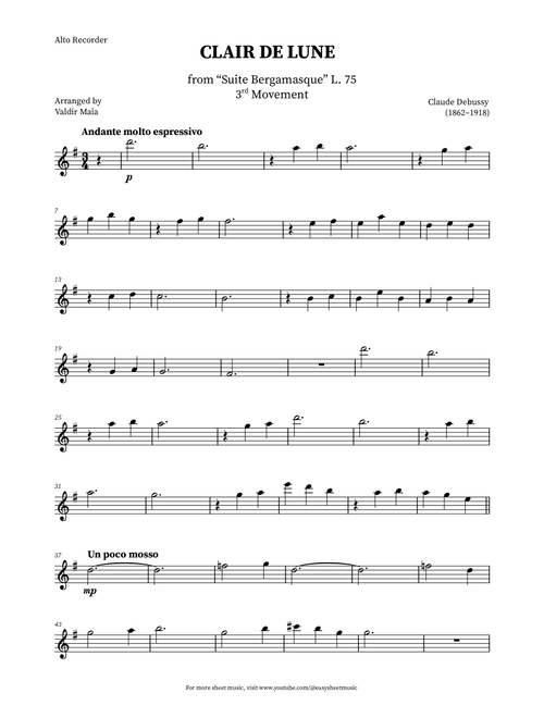 Clair de Lune - Alto Recorder (Arr. Valdir Maia) - Claude Debussy (Recorder Solo)
