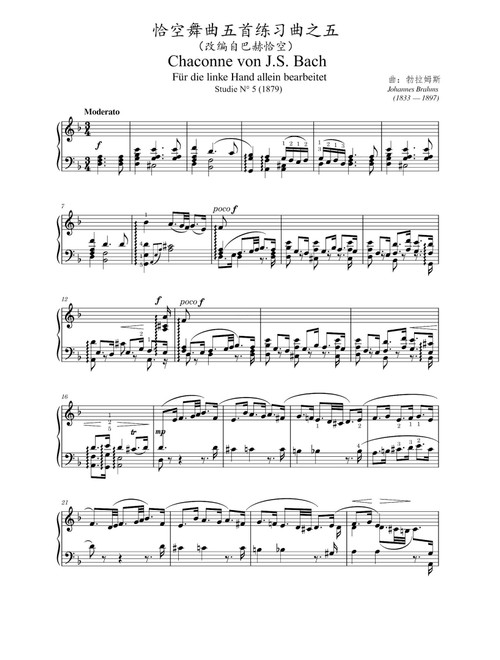 Chaconne von J. S. Bach (No.5) - Johannes Brahms (Piano Solo)