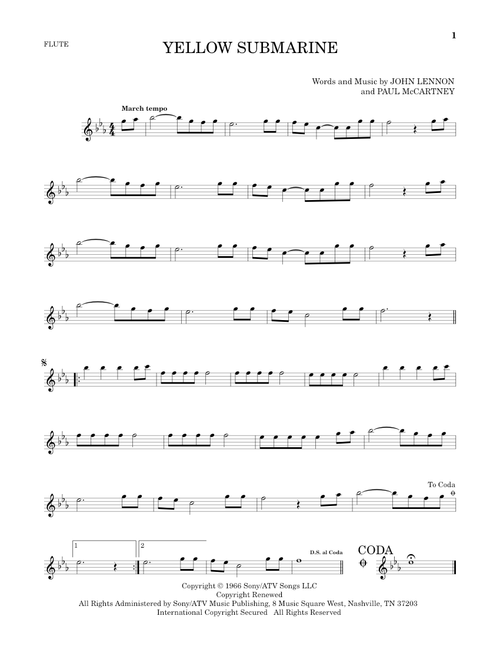 Yellow Submarine - The Beatles (Flute Solo)