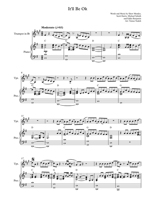 It'll Be Okay (Arr. Tomaž Nedoh) - Shawn Mendes (Trumpet and Piano)