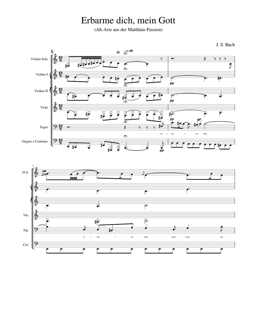 Erbarme dich, mein Gott J. S. Bach Matthaüs Passion Bassoon transcript from Altaria Sheet