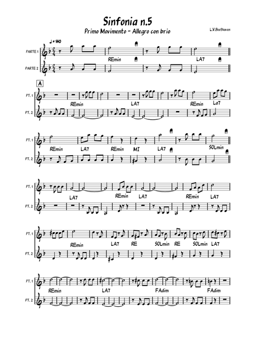 Sinfonia n.5 Primo Movimento – Ludwig van Beethoven